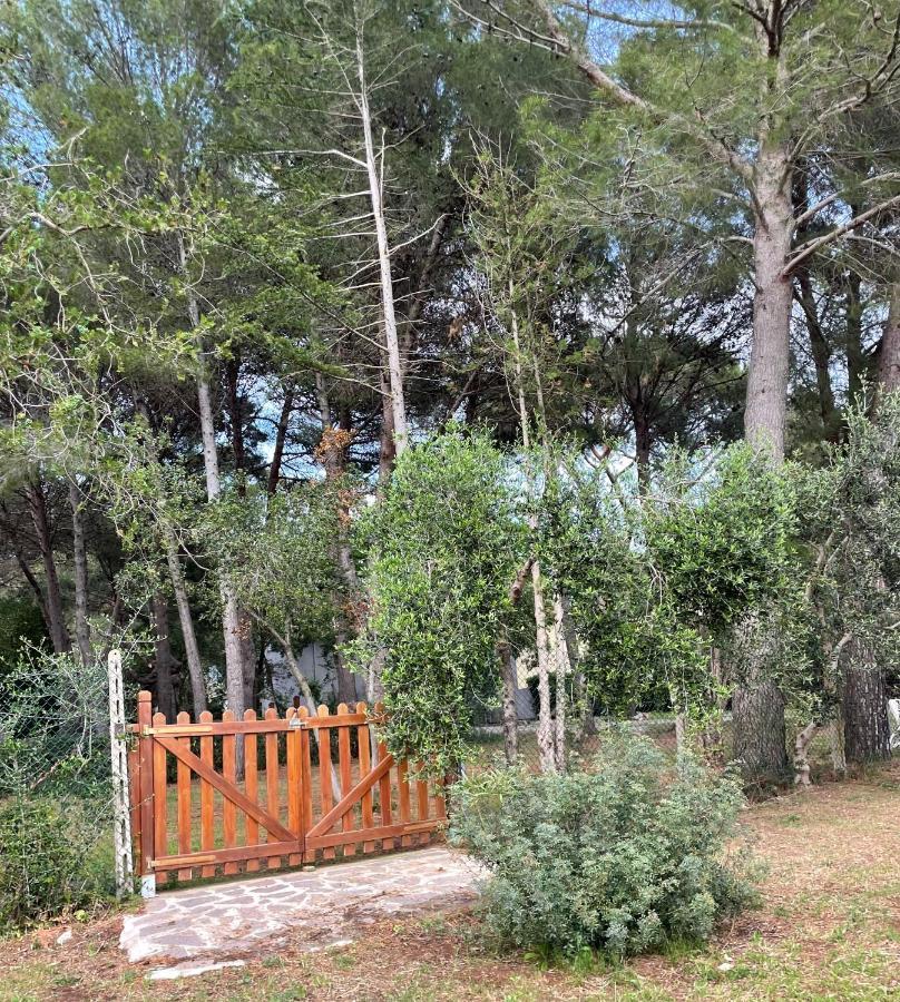 Agriturismo Podere Campalto Кампилья-Мариттима Экстерьер фото