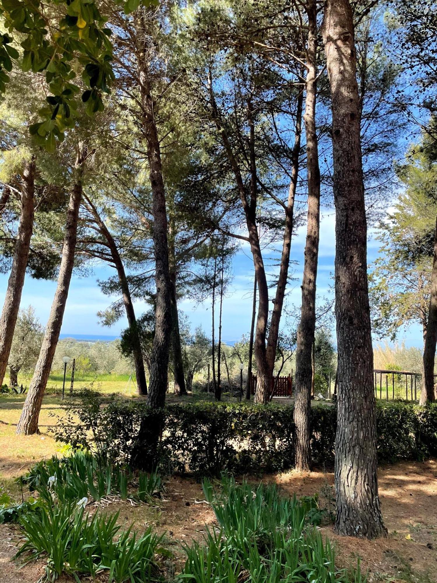 Agriturismo Podere Campalto Кампилья-Мариттима Экстерьер фото