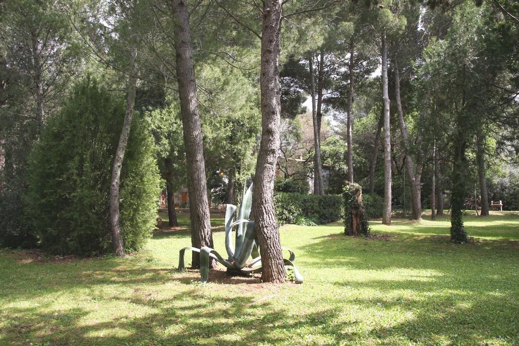 Agriturismo Podere Campalto Кампилья-Мариттима Экстерьер фото